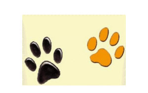 Animaux : Association soutenue en 2019