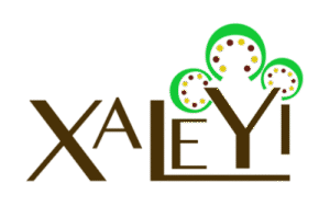 Education : Association soutenue en 2018, 2020