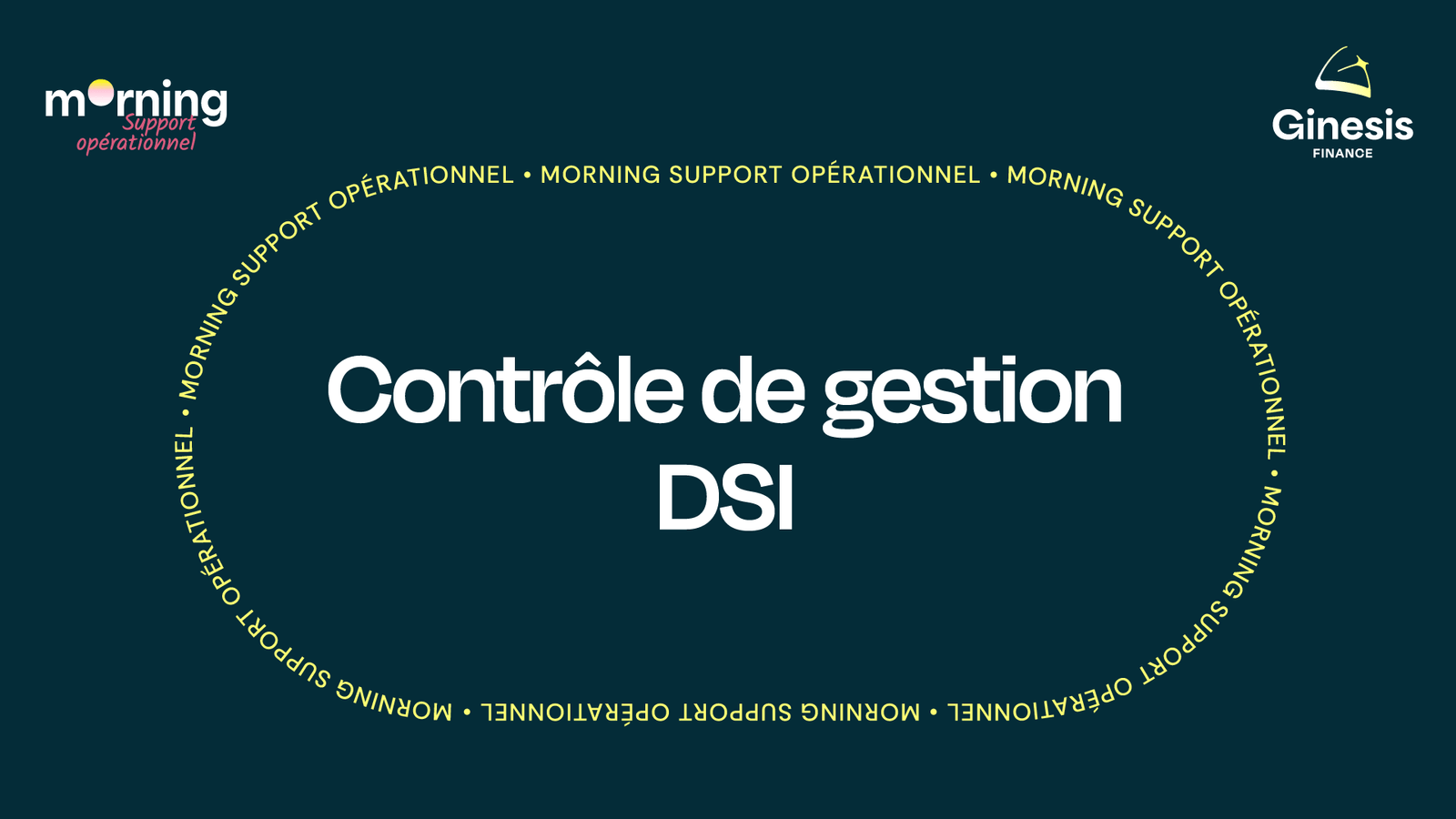 CONTROLE DE GESTION DSI