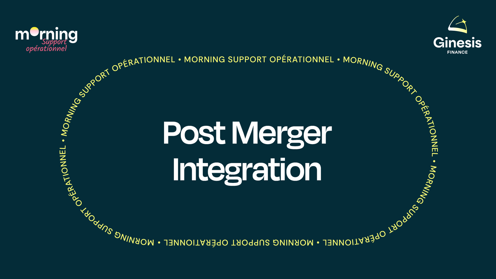 POST MERGER INTEGRATION