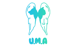 Association soutenue en 2025